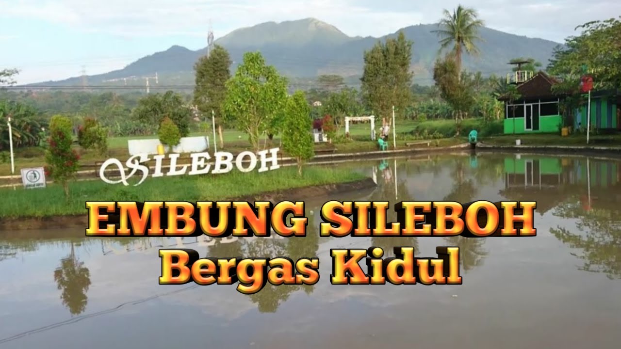 Tiket Parkir